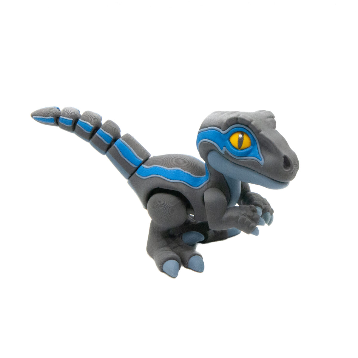 Raptor Blue