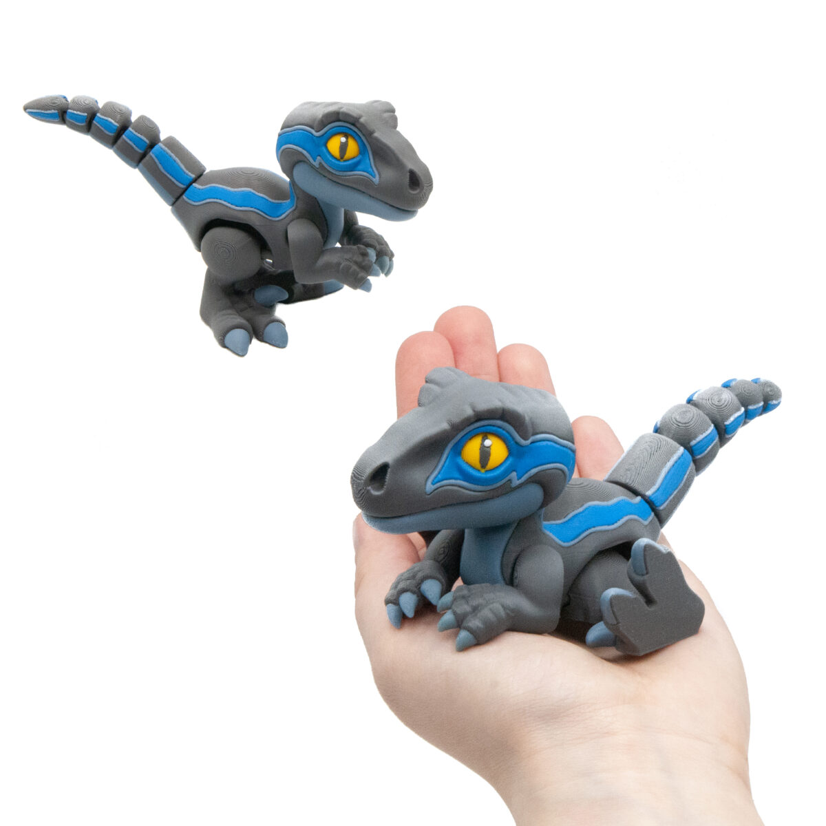 Raptor Blue