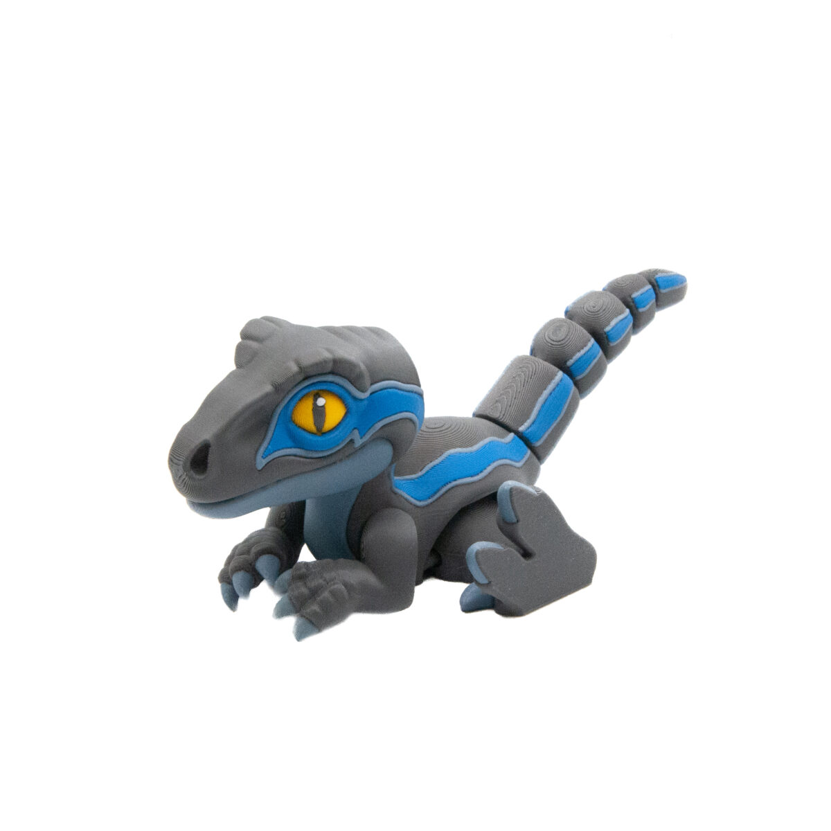 Raptor Blue