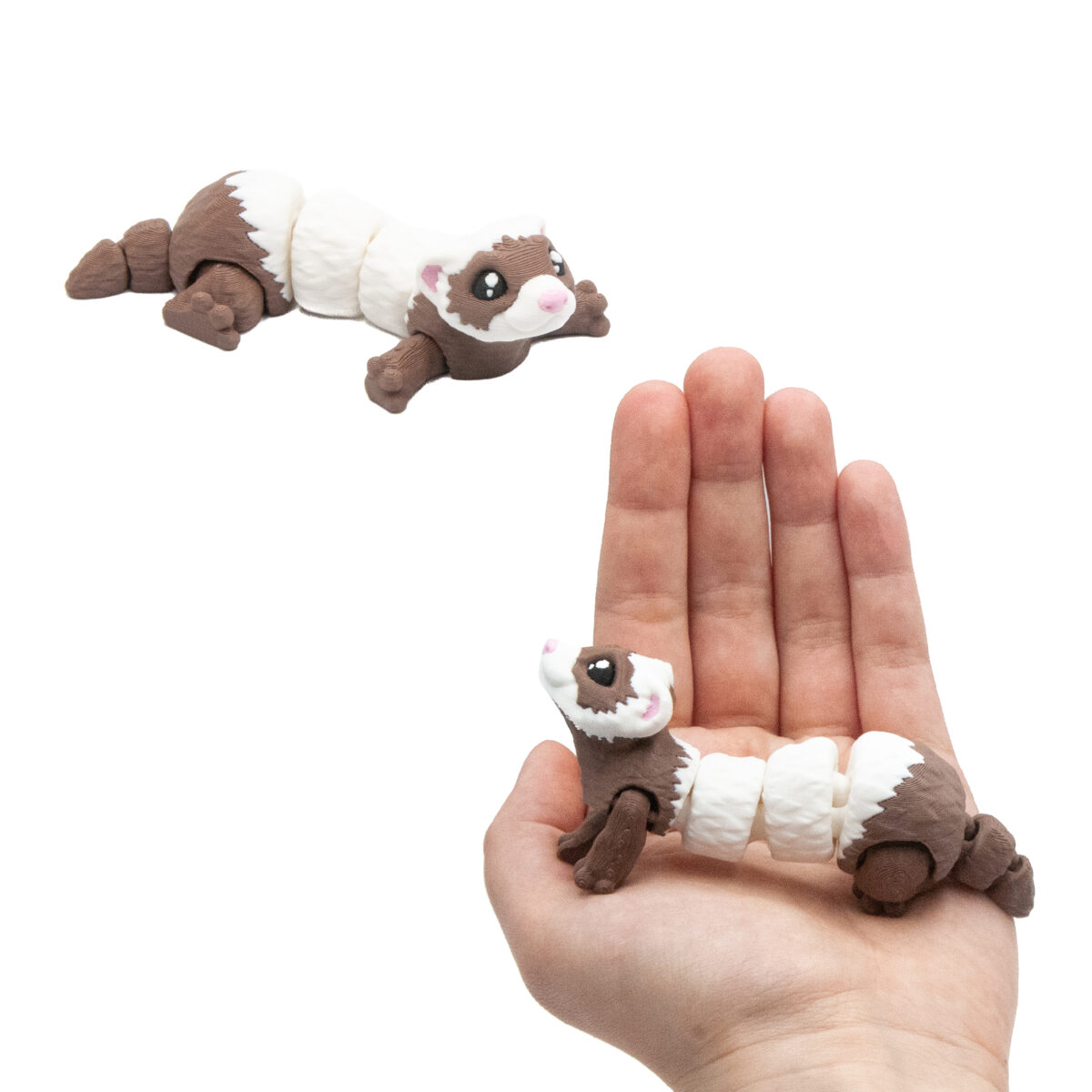 Baby Brązowa Fretka
