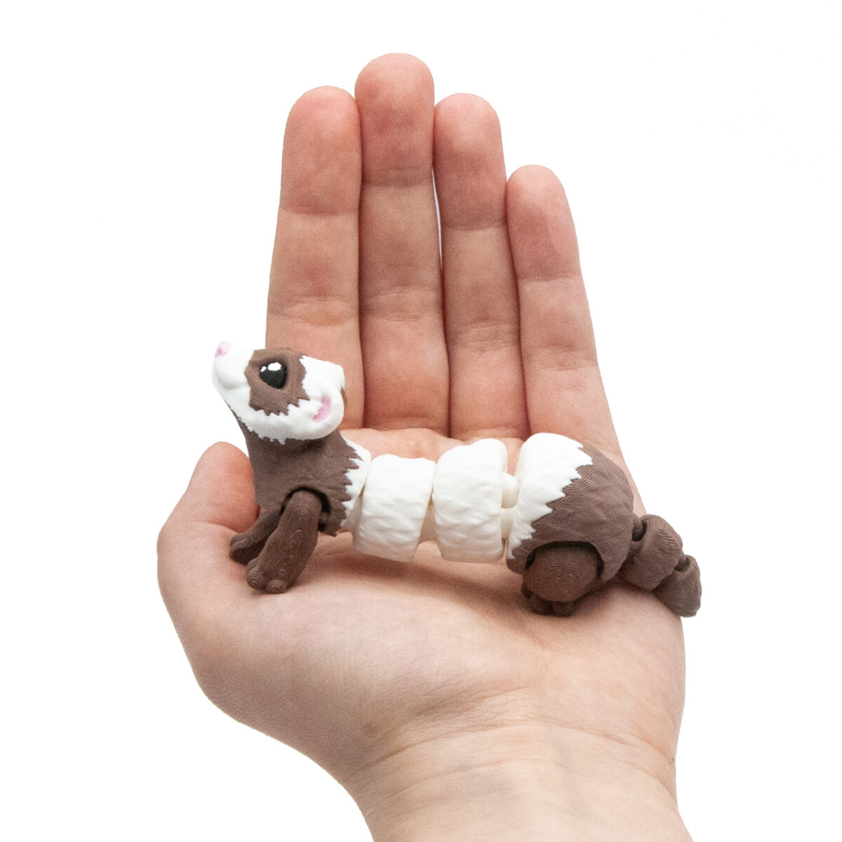 Baby Brązowa Fretka