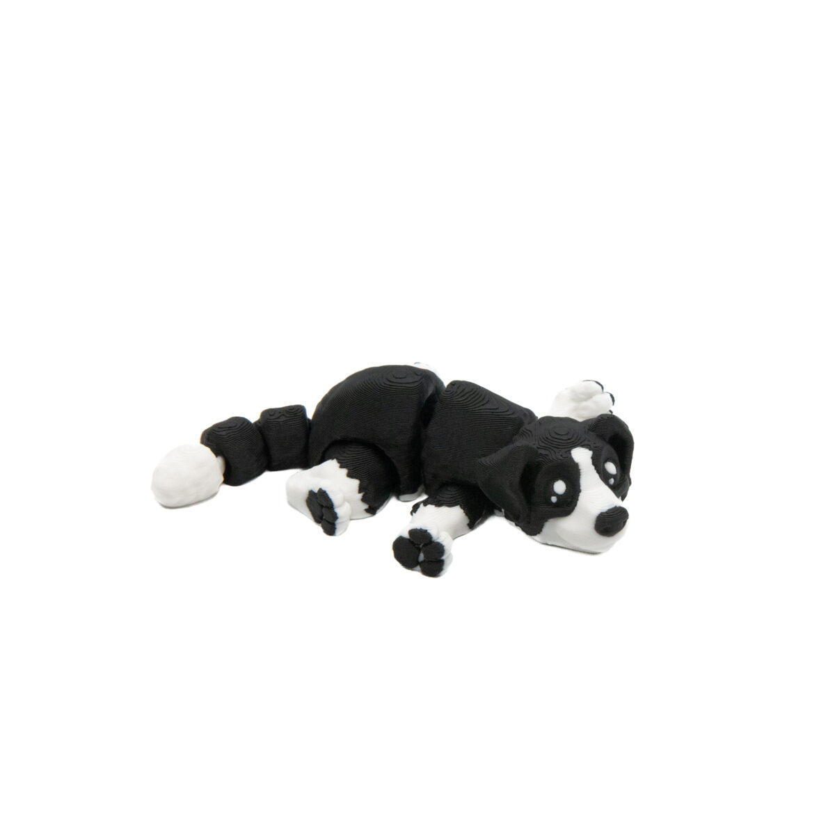Baby Pies Border Collie