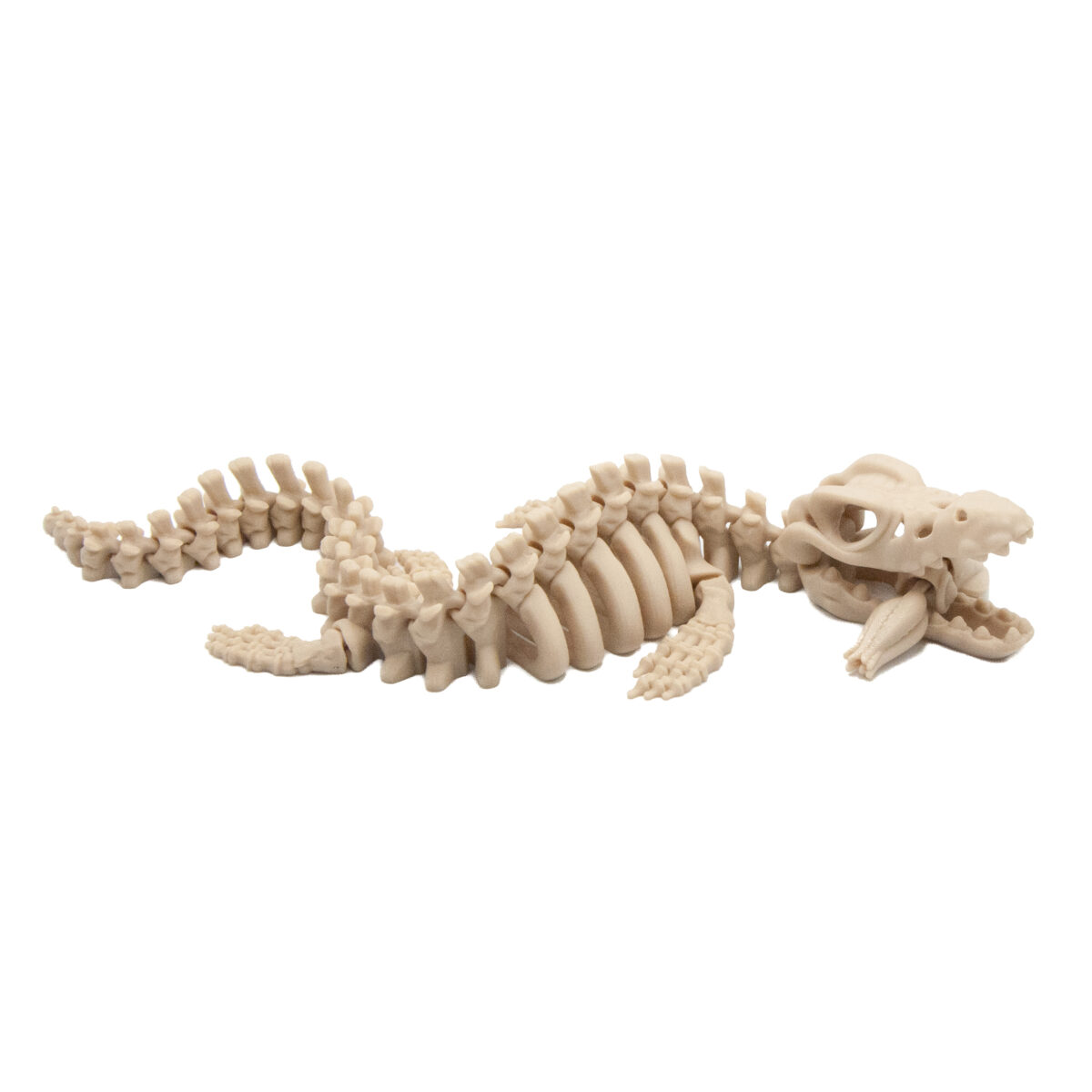 Mozazaur Szkielet Dinozaur