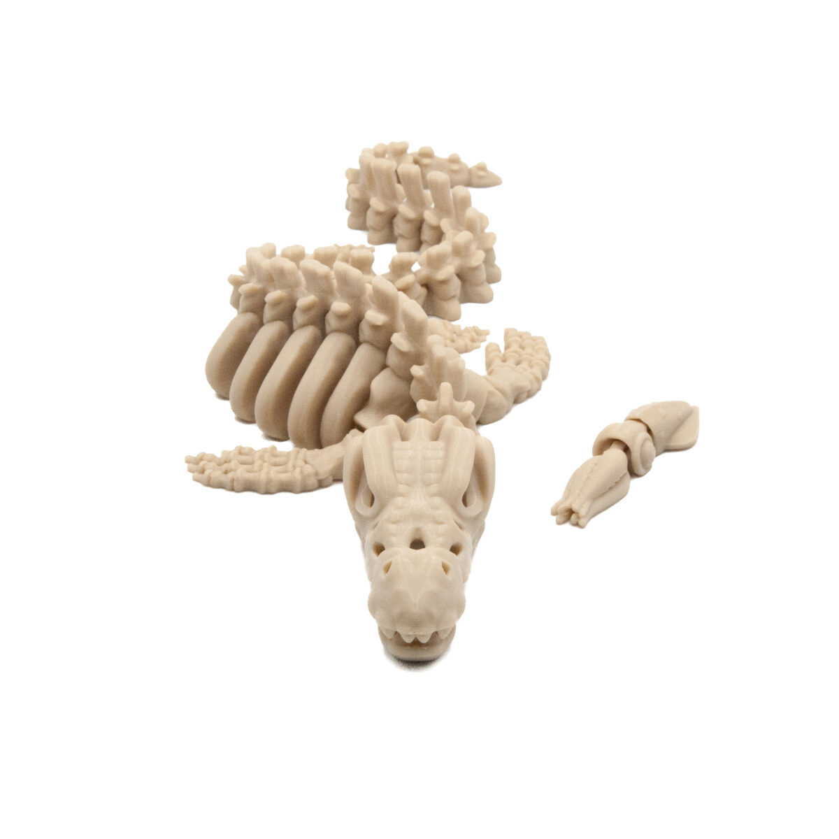 Mozazaur Szkielet Dinozaur