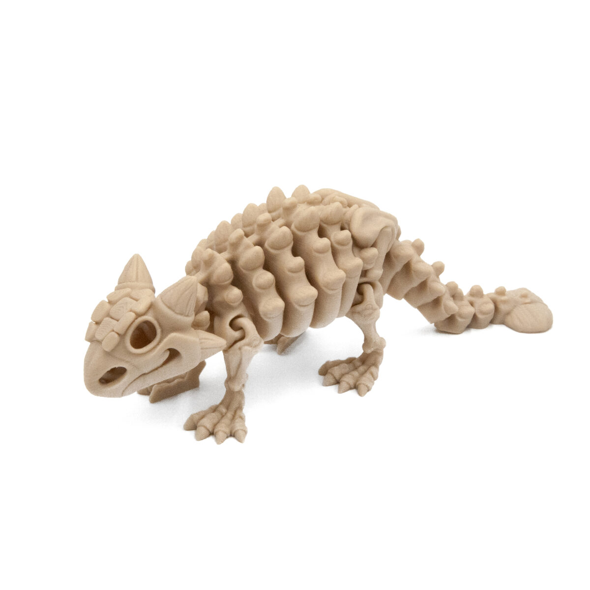 Ankylozaur Szkielet Dinozaur