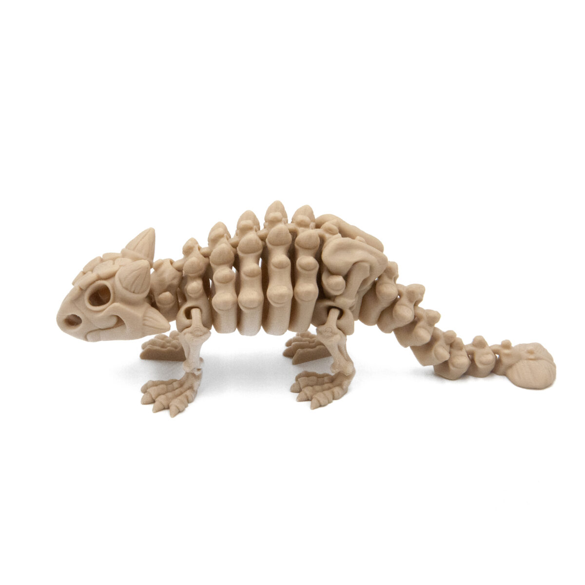 Ankylozaur Szkielet Dinozaur