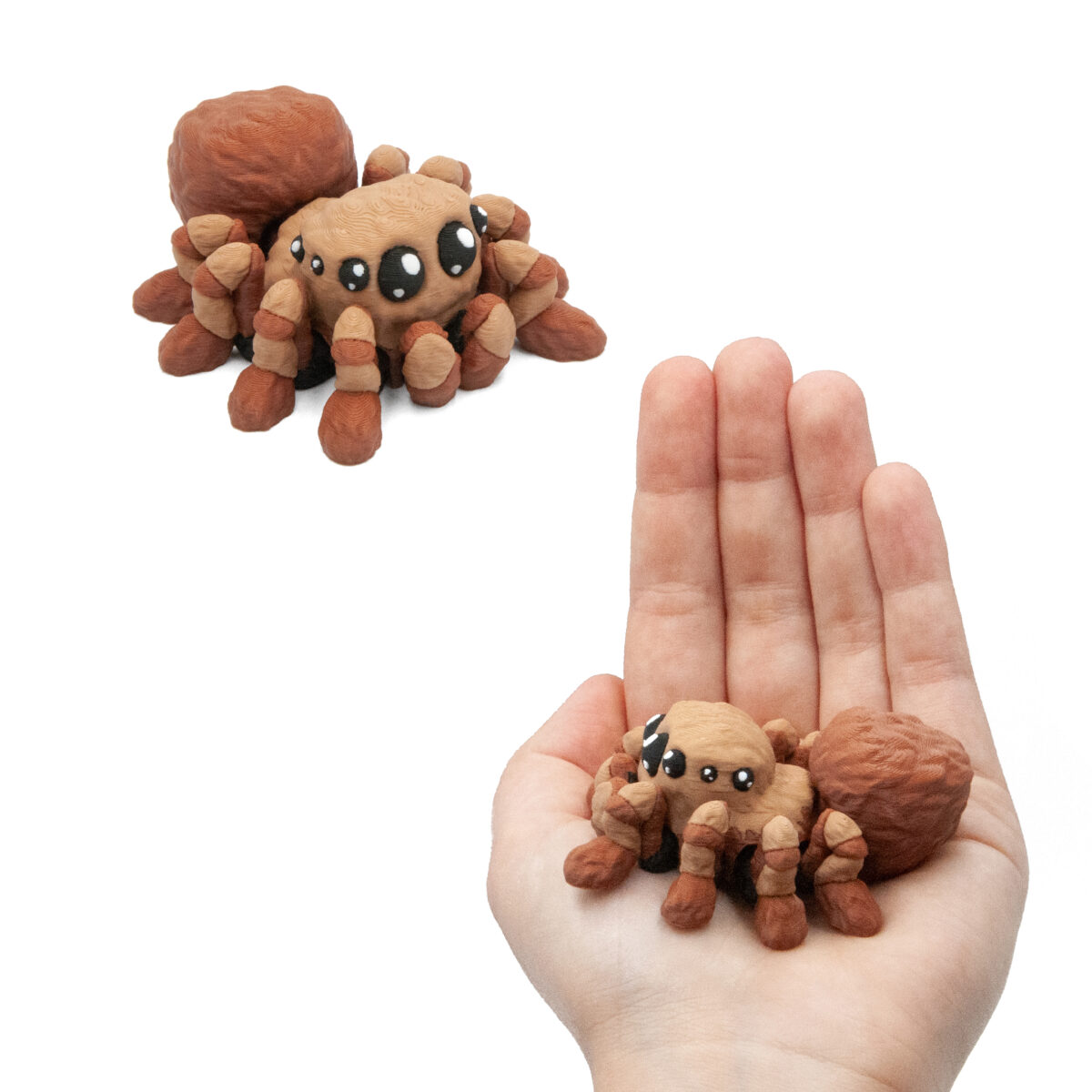 Baby Pająk Tarantula