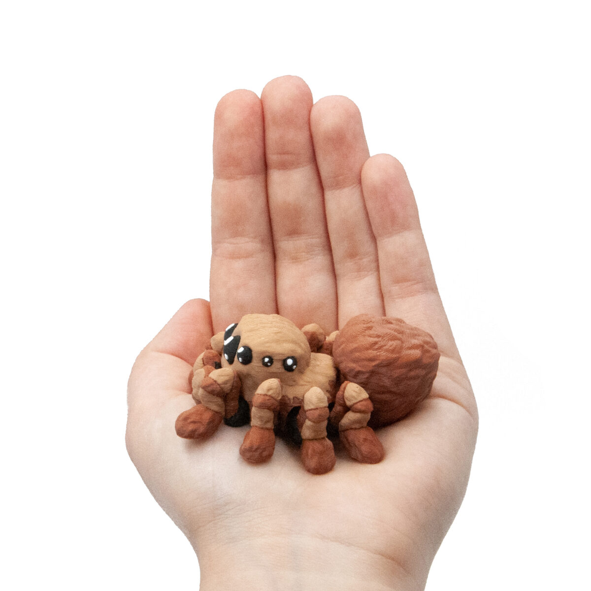 Baby Pająk Tarantula