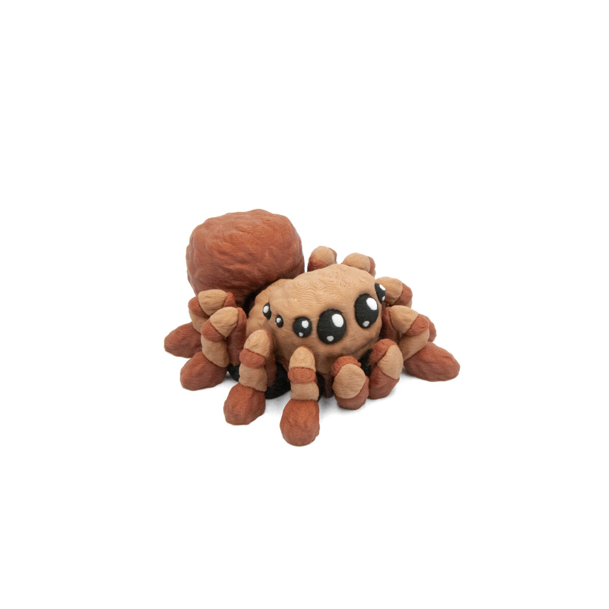 Baby Pająk Tarantula
