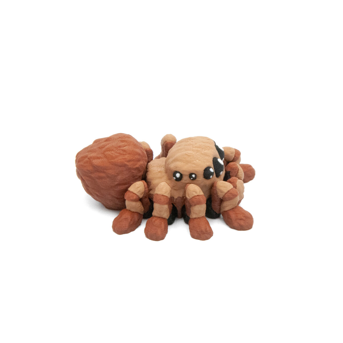 Baby Pająk Tarantula