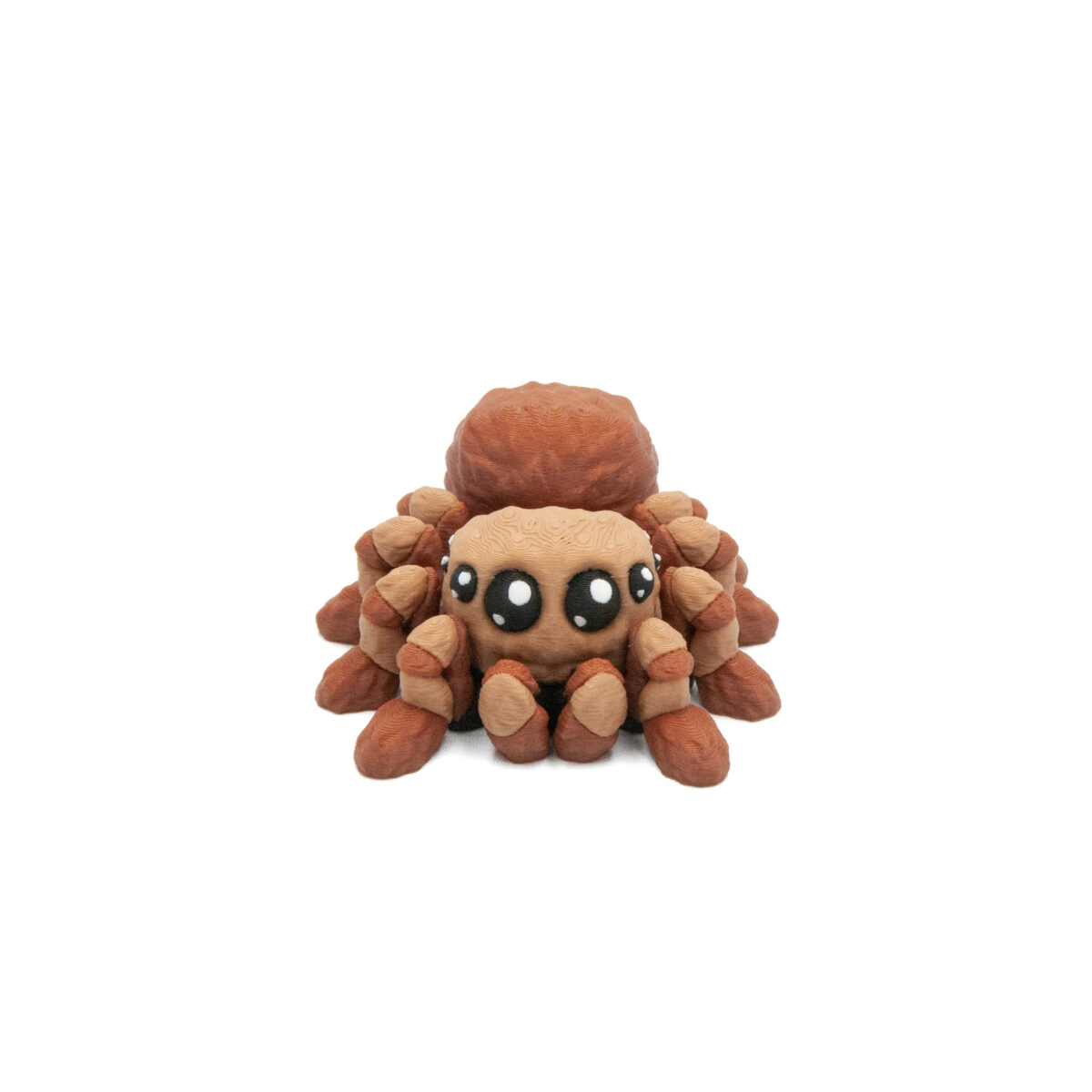 Baby Pająk Tarantula