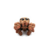 Baby Pająk Tarantula