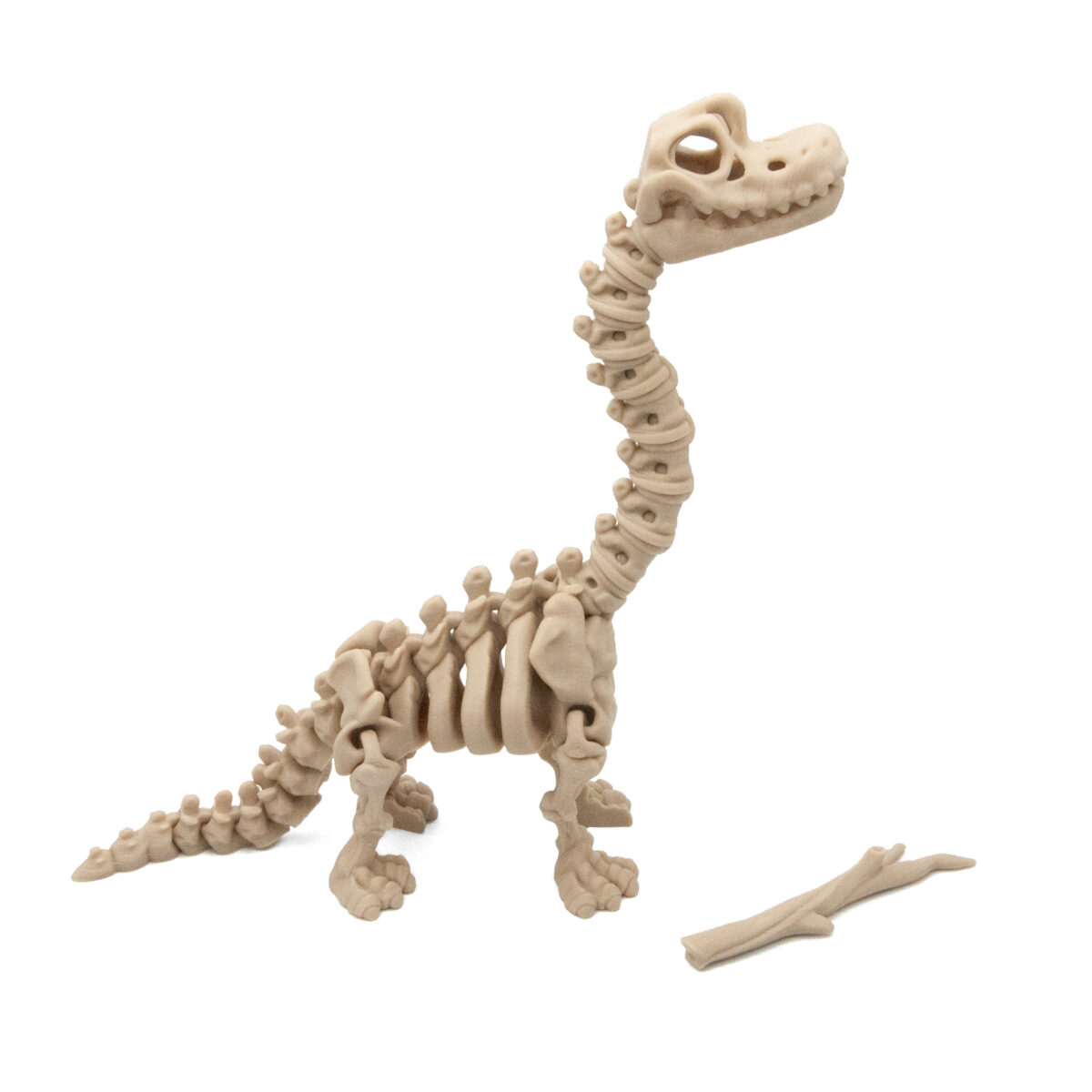 Brontozaur Dinozaur Szkielet