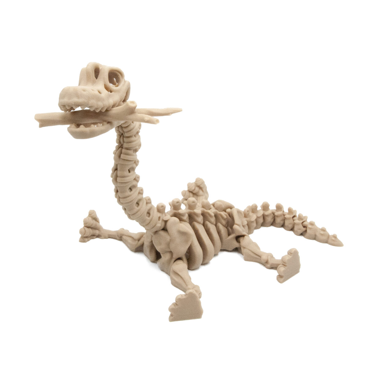 Brontozaur Dinozaur Szkielet