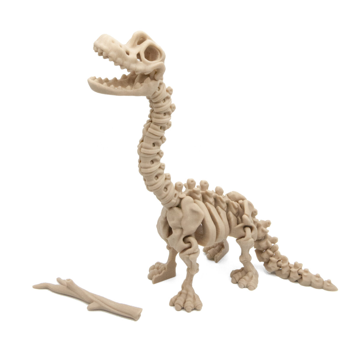 Brontozaur Dinozaur Szkielet