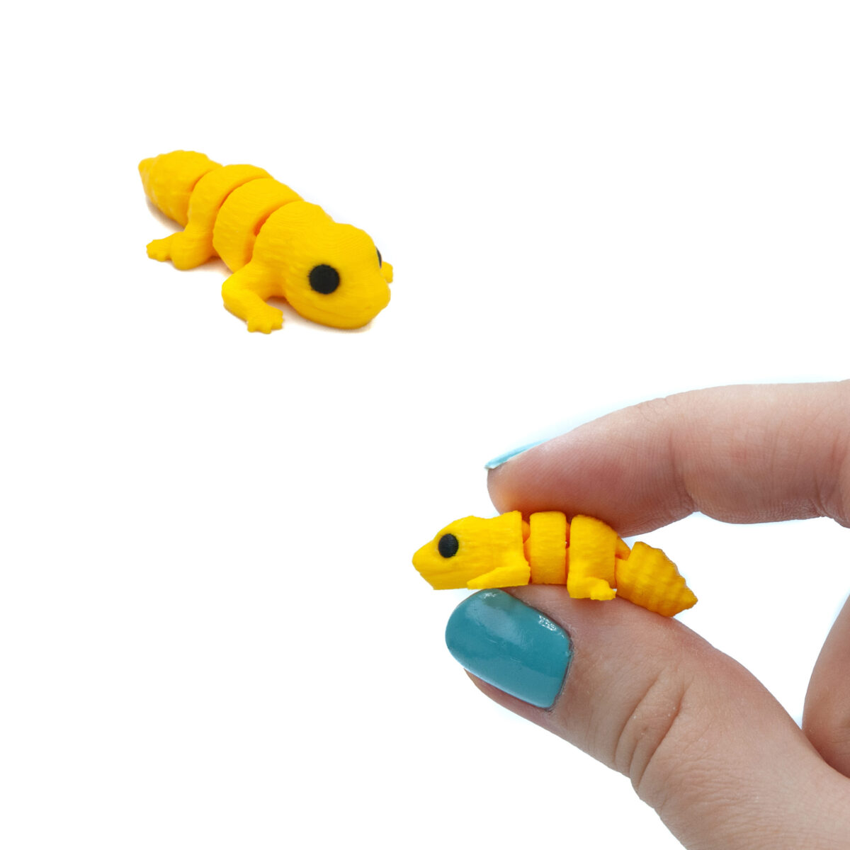 Gekon Lamparci Minis