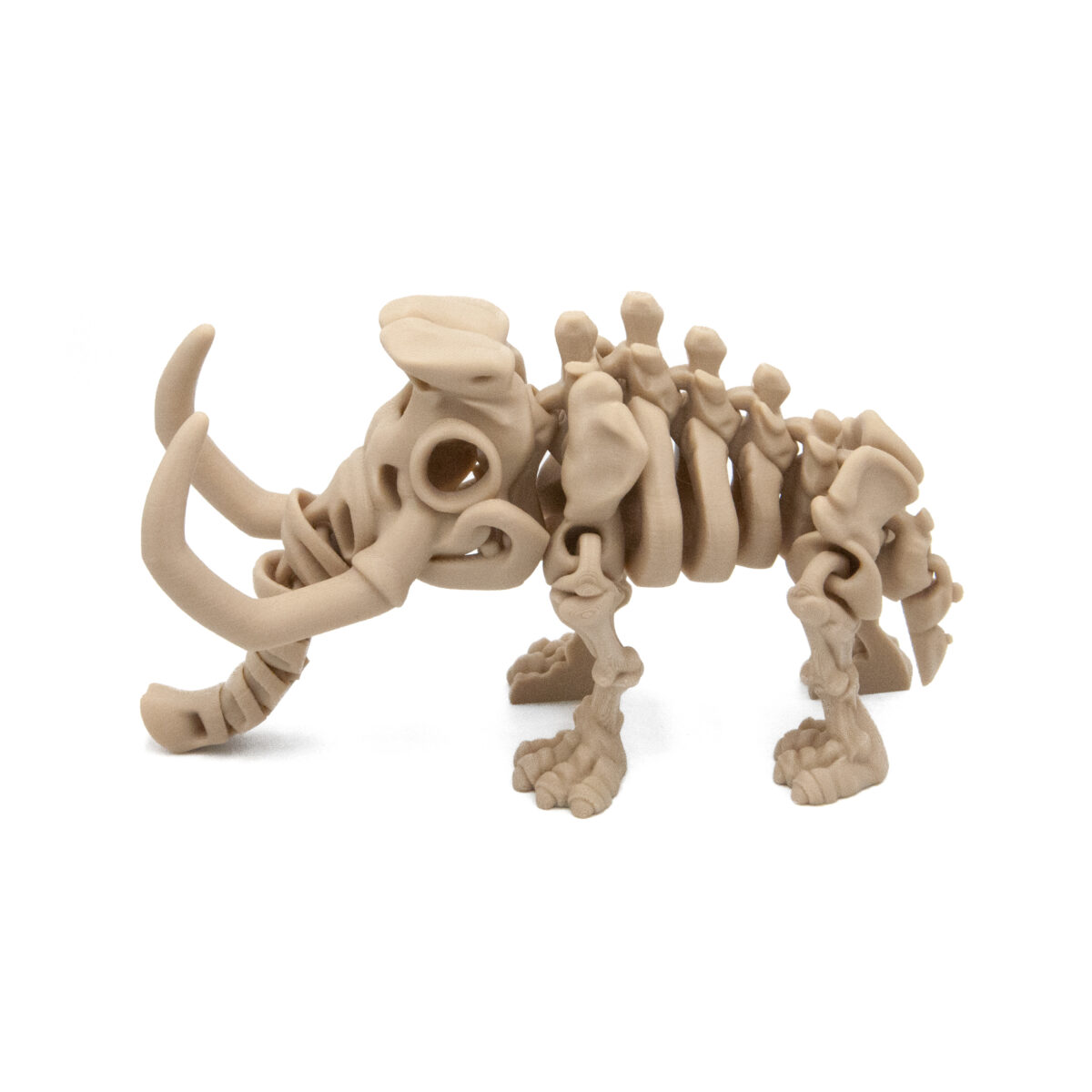 mamutp2 Mamut Szkielet