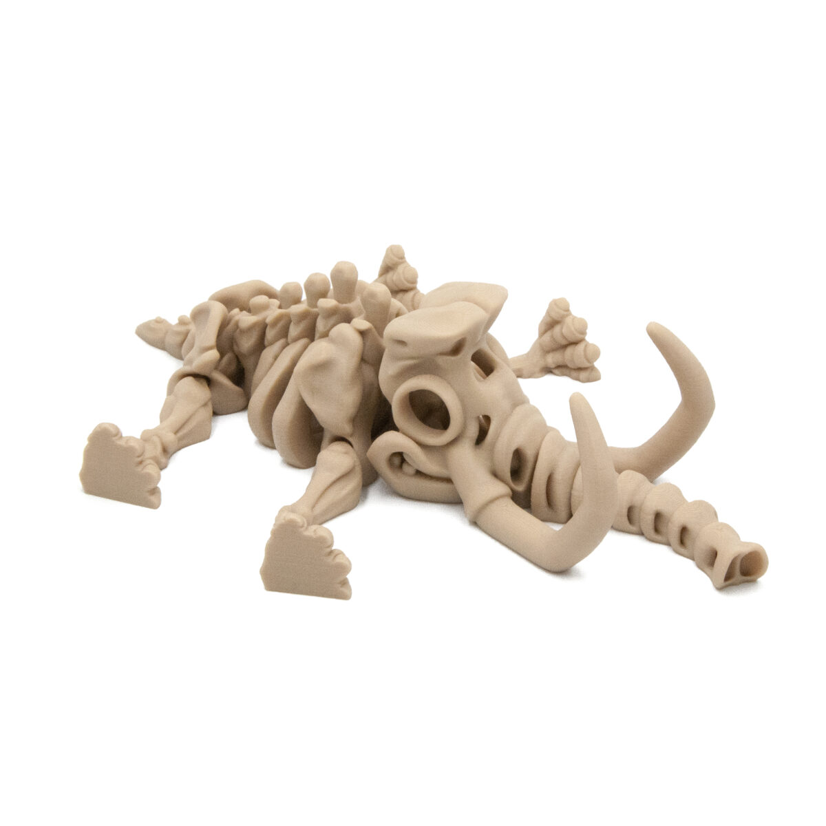 mamutp3 Mamut Szkielet