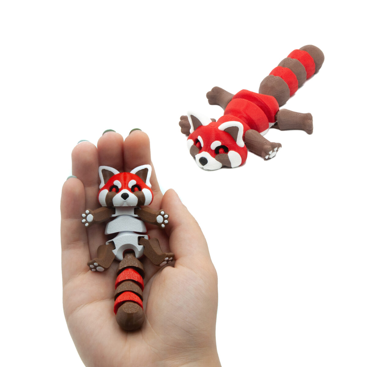 Pandka Ruda
