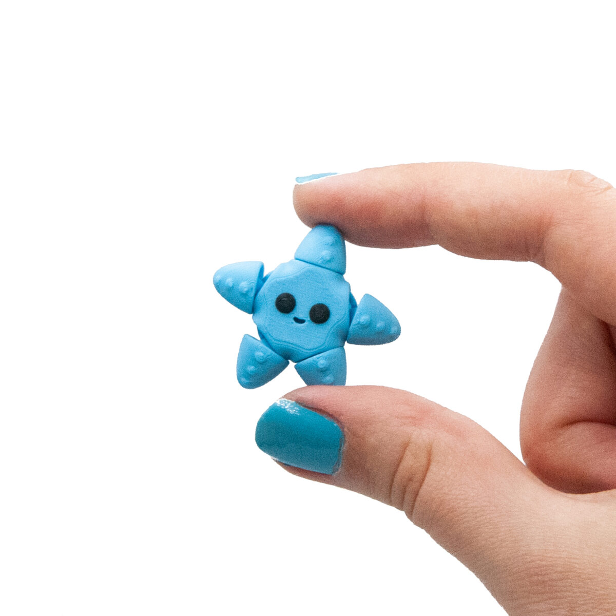Niebieska Rozgwiazda Minis