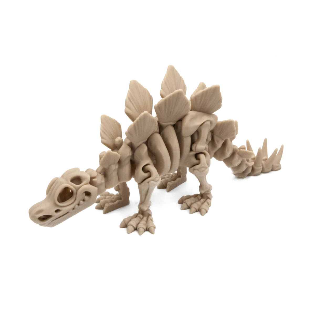 Stegozaur Szkielet Dinozaur