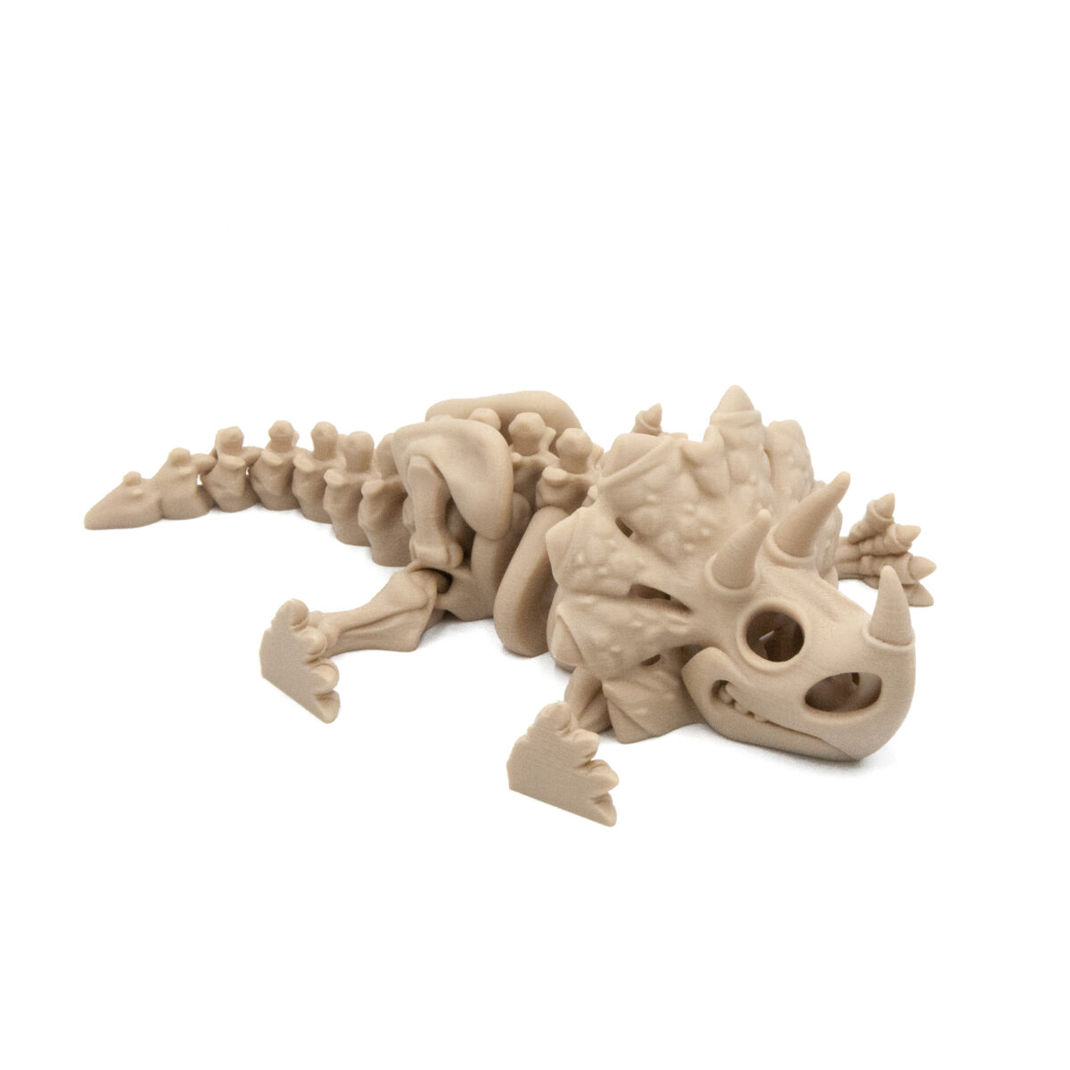 Triceratops Szkielet Dinozaur