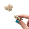 Triceratops Szkielet Dinozaur Minis