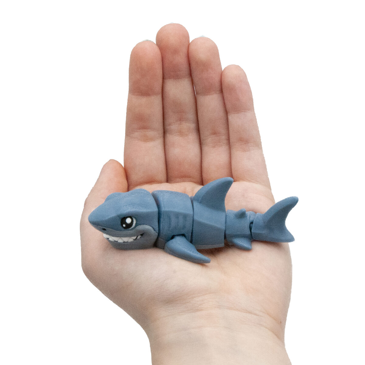 babyrekin4 Baby Rekin Żarłacz