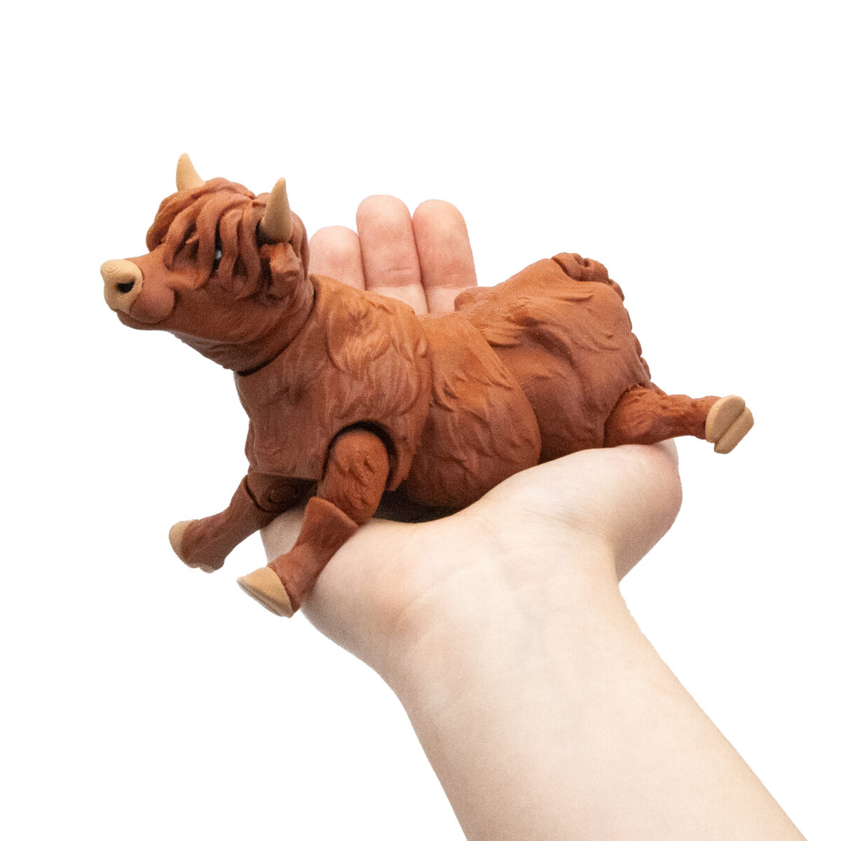 krowag6 Duża Krowa Górska