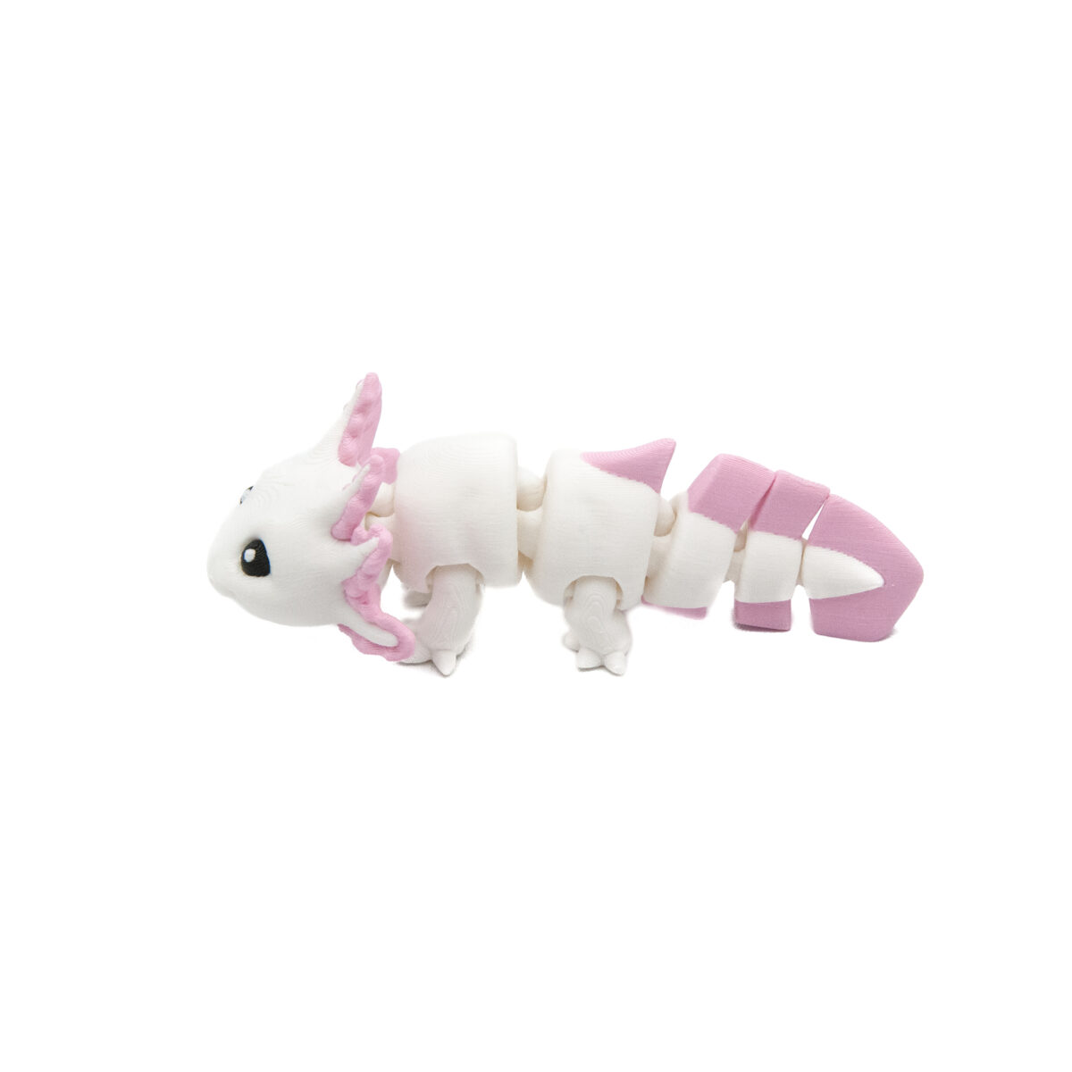 axobialy1 Baby Biały Axolotl