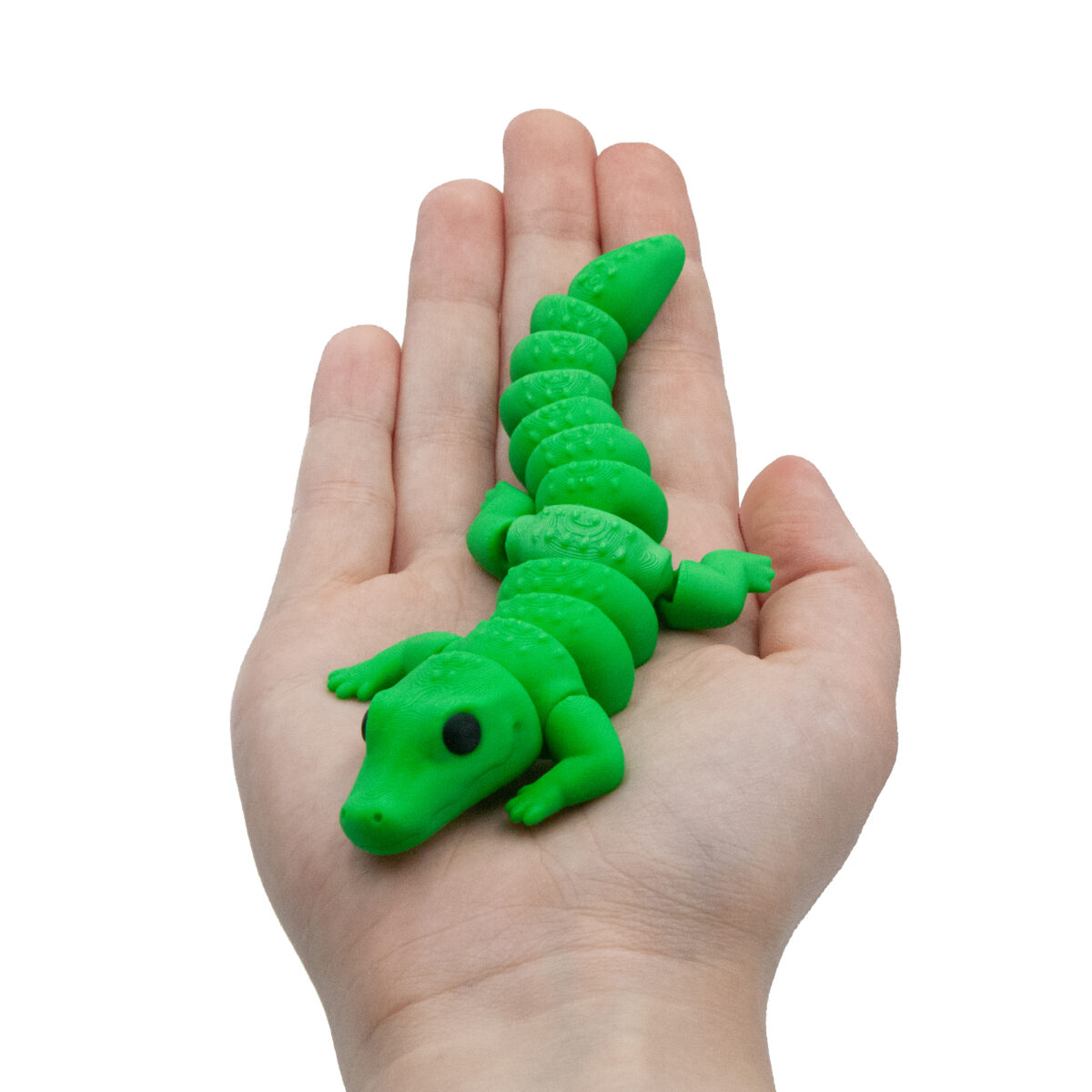 babykrok2 Baby Krokodyl