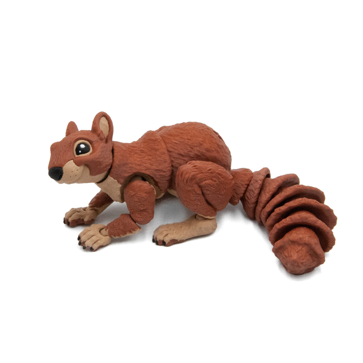 duzawiew1 Wiewiórka