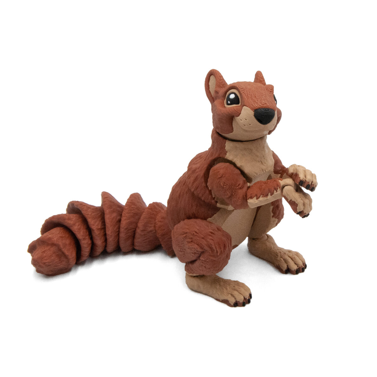 duzawiew2 Wiewiórka