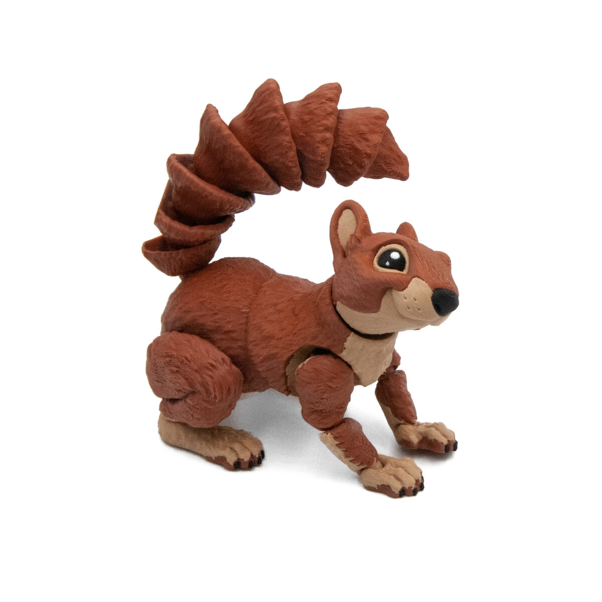 duzawiew3 Wiewiórka