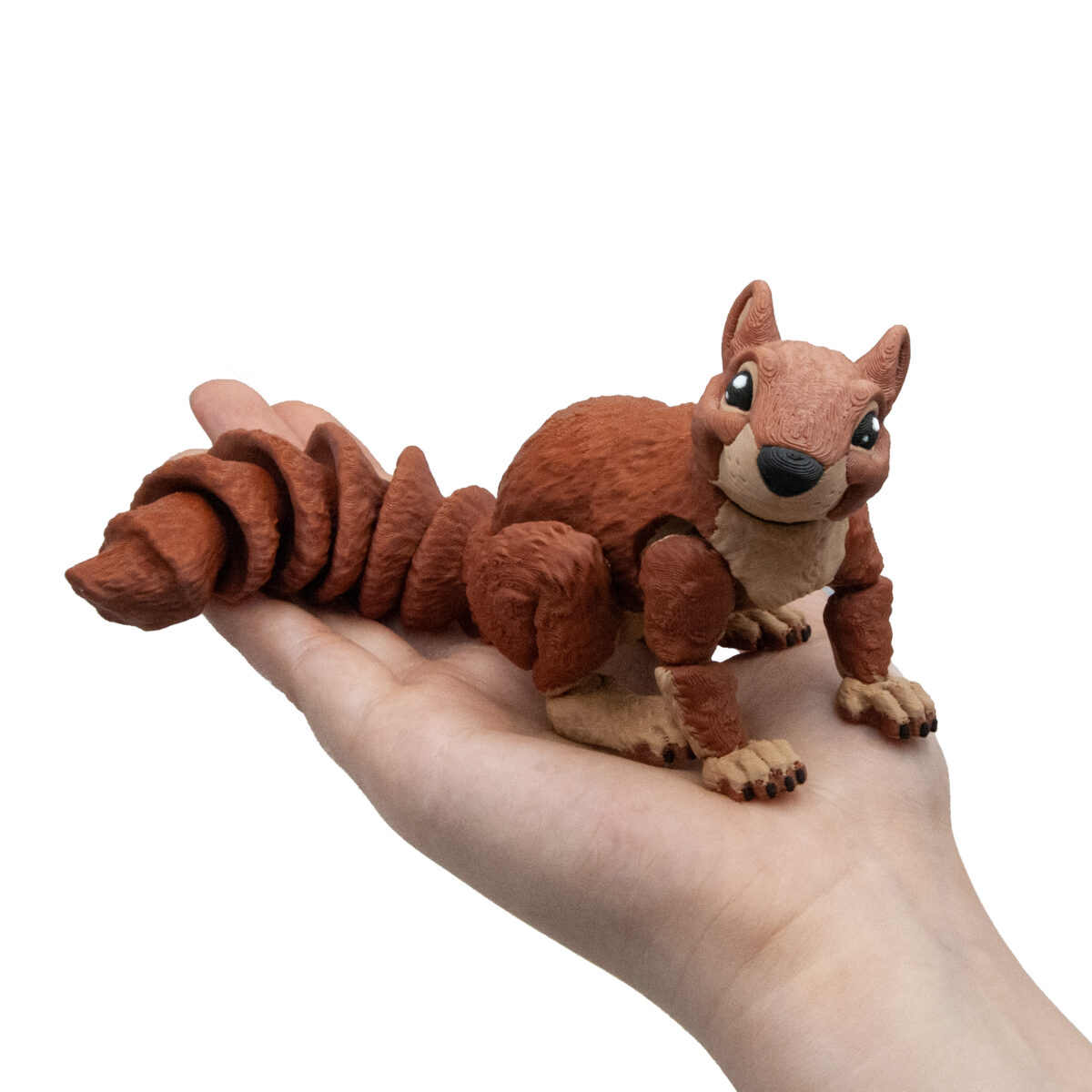 duzawiew5 Wiewiórka