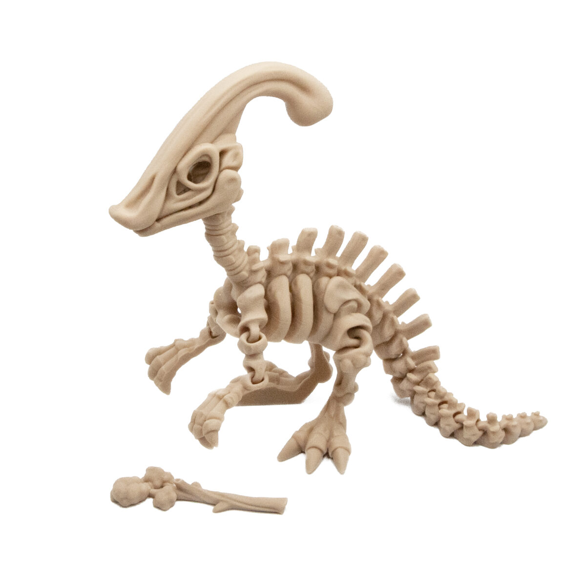 nowydino2 Parazaurolof Szkielet Dinozaur