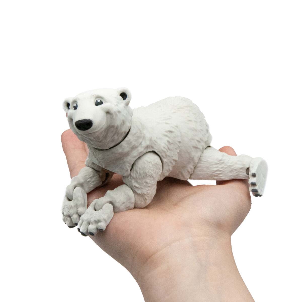 Niedźwiedź Polarny