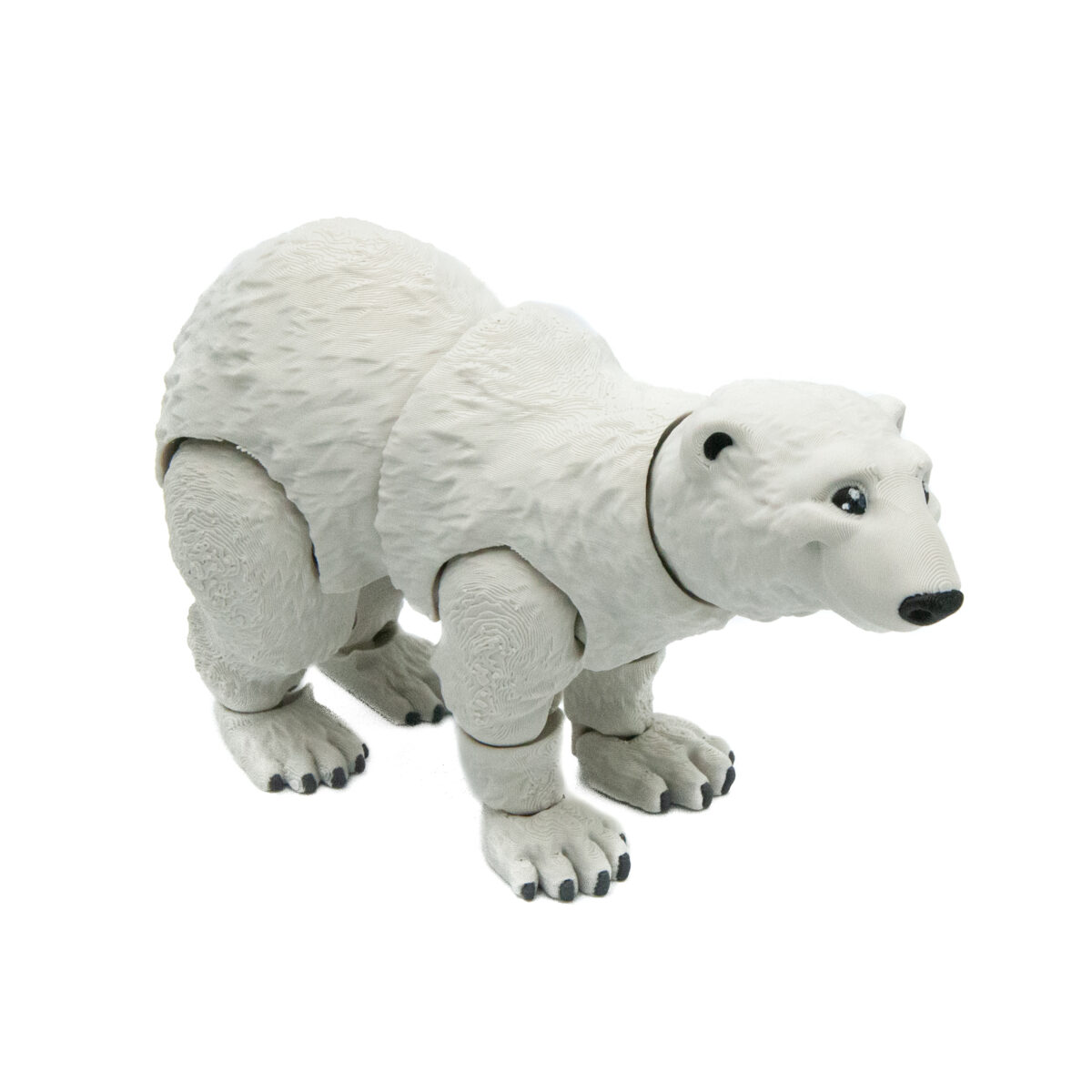 Niedźwiedź Polarny