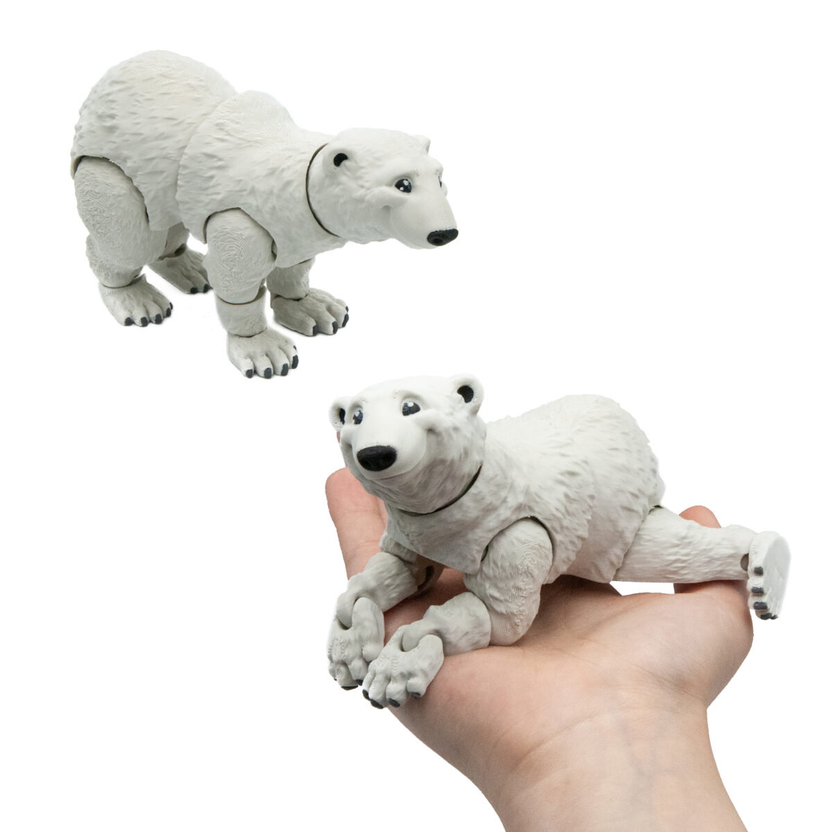 Niedźwiedź Polarny