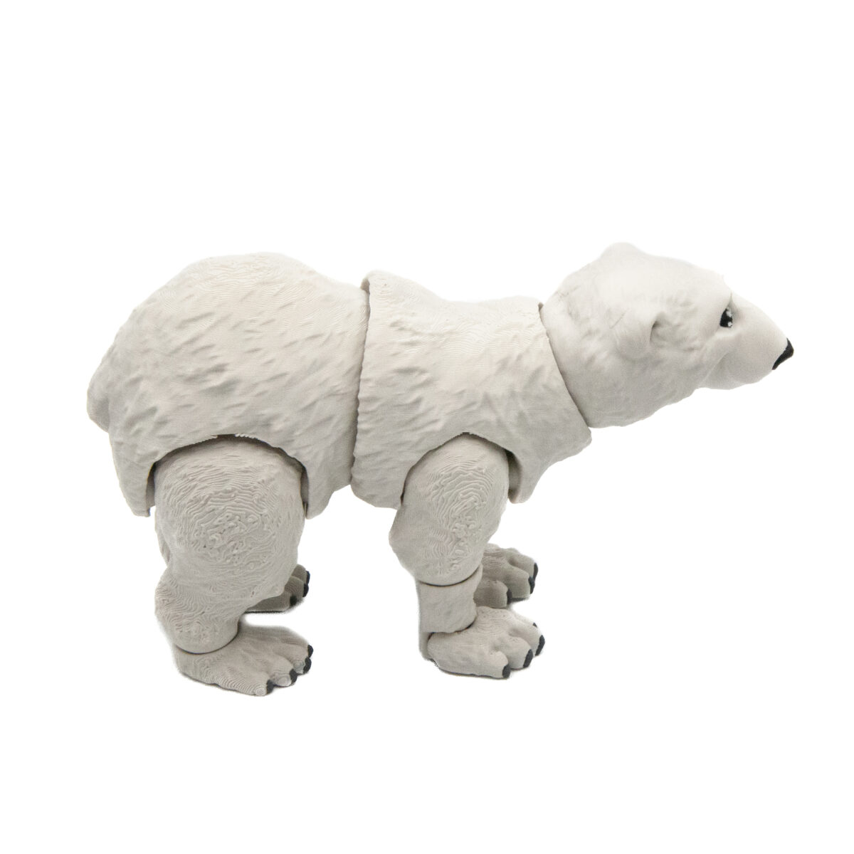 Niedźwiedź Polarny