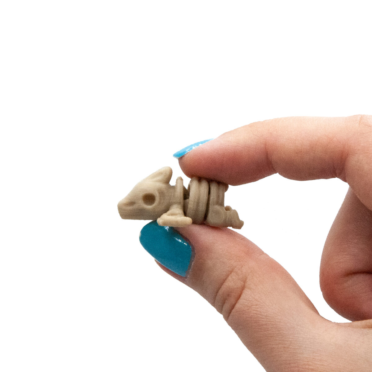 pterosz1 Pterodaktyl Szkielet Dinozaur Minis