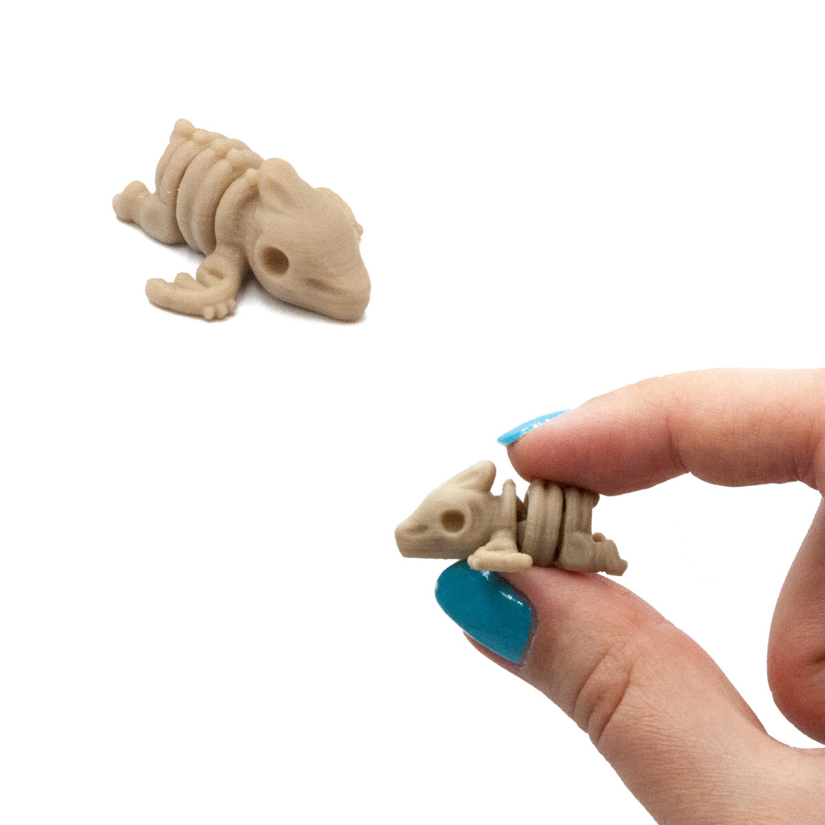 pterosz4 Pterodaktyl Szkielet Dinozaur Minis