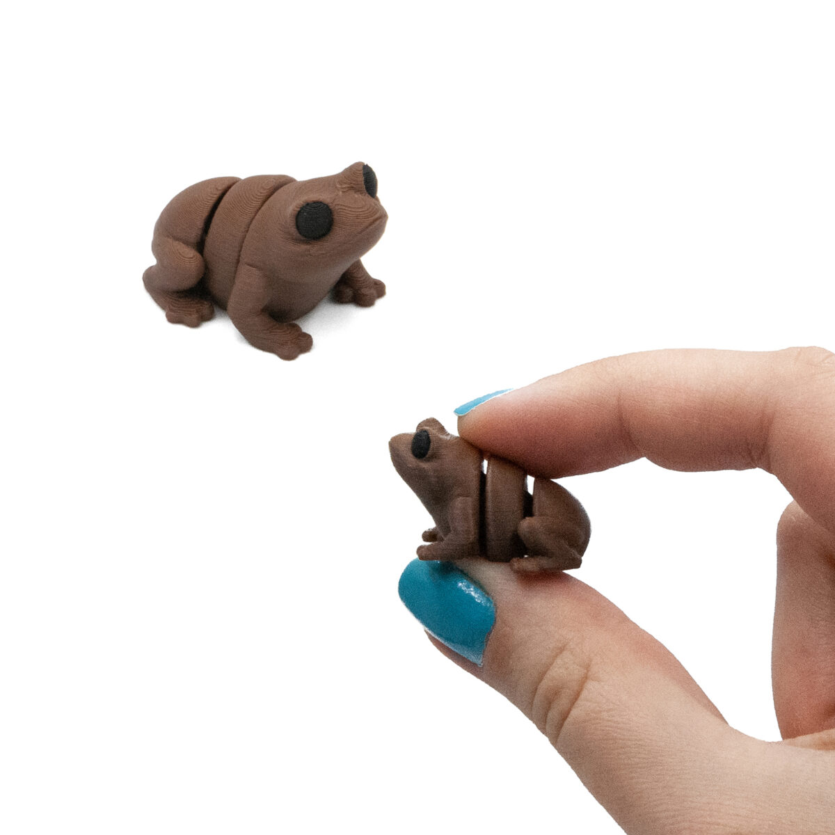 zabac4 Czekoladowa Żaba Minis