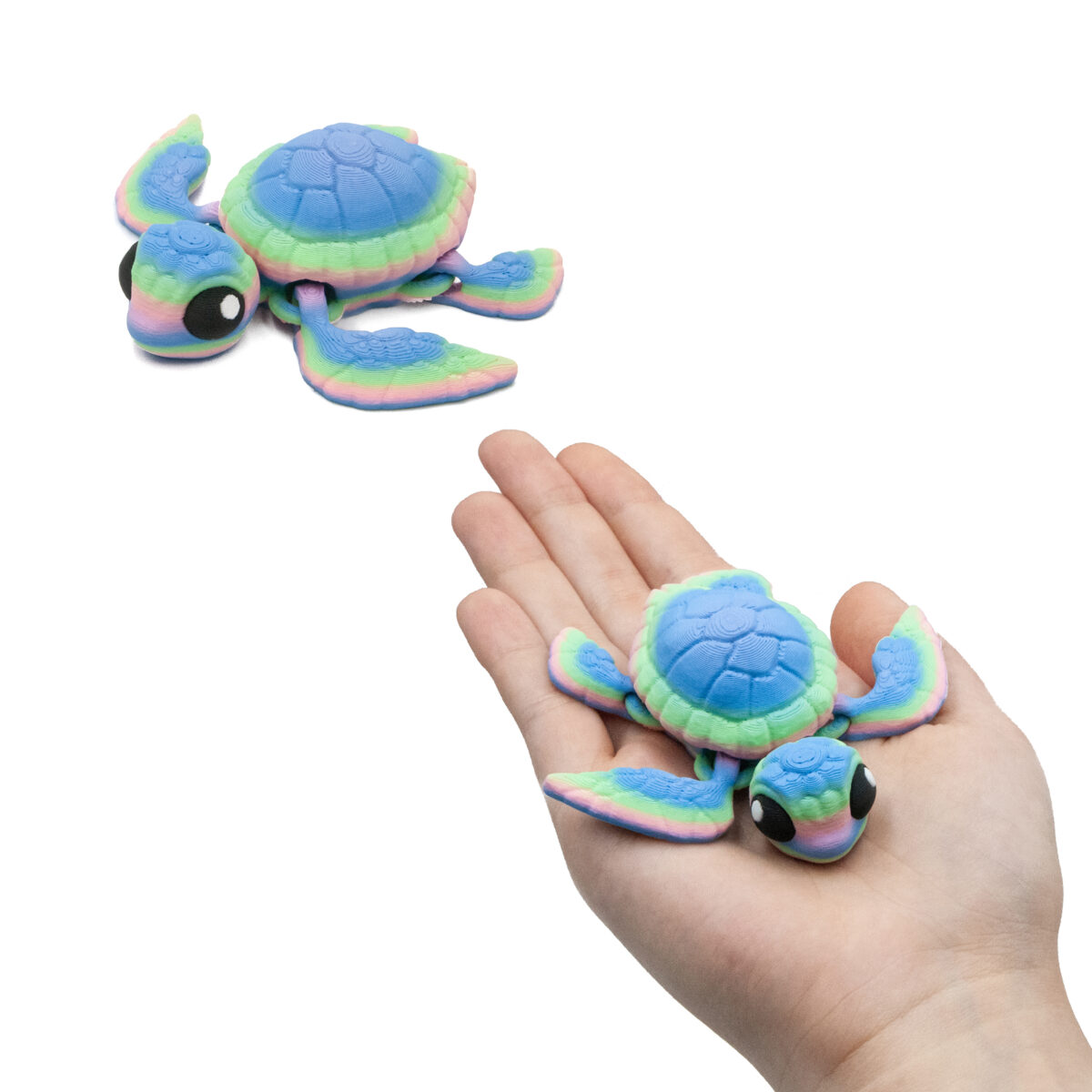 zolwtecza3 Żółw Tęczowy