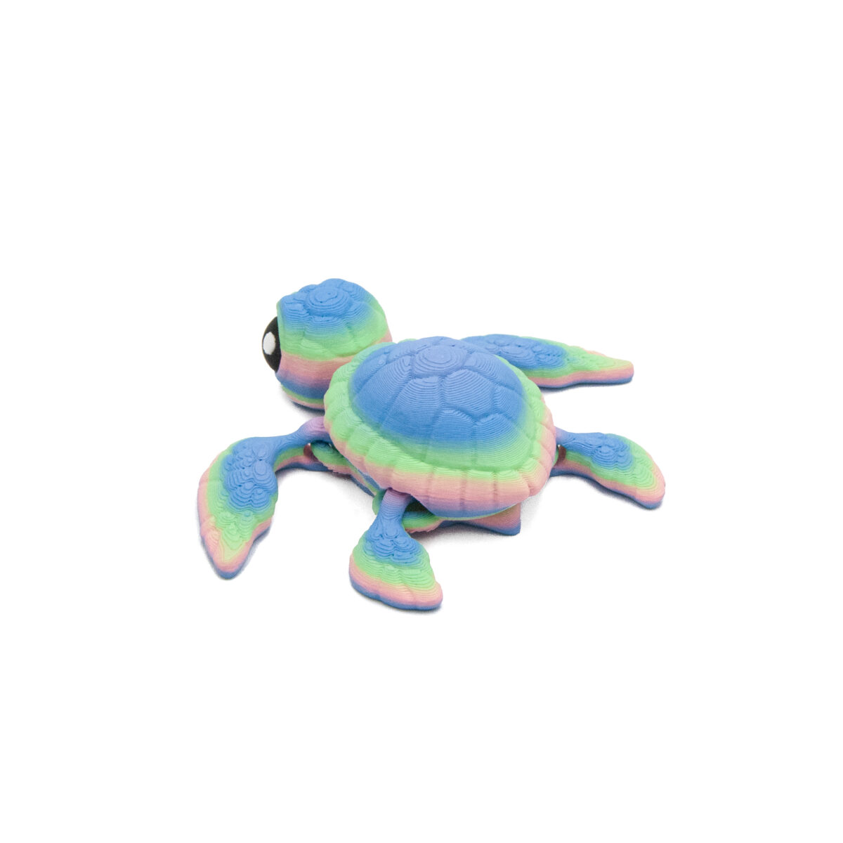 zolwtecza4 Żółw Tęczowy