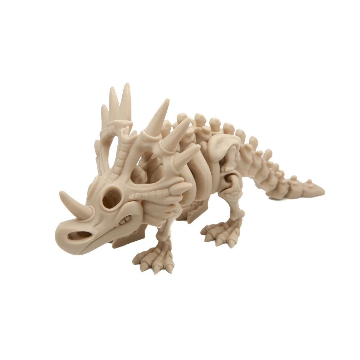 Styrakozaur Szkielet Dinozaur