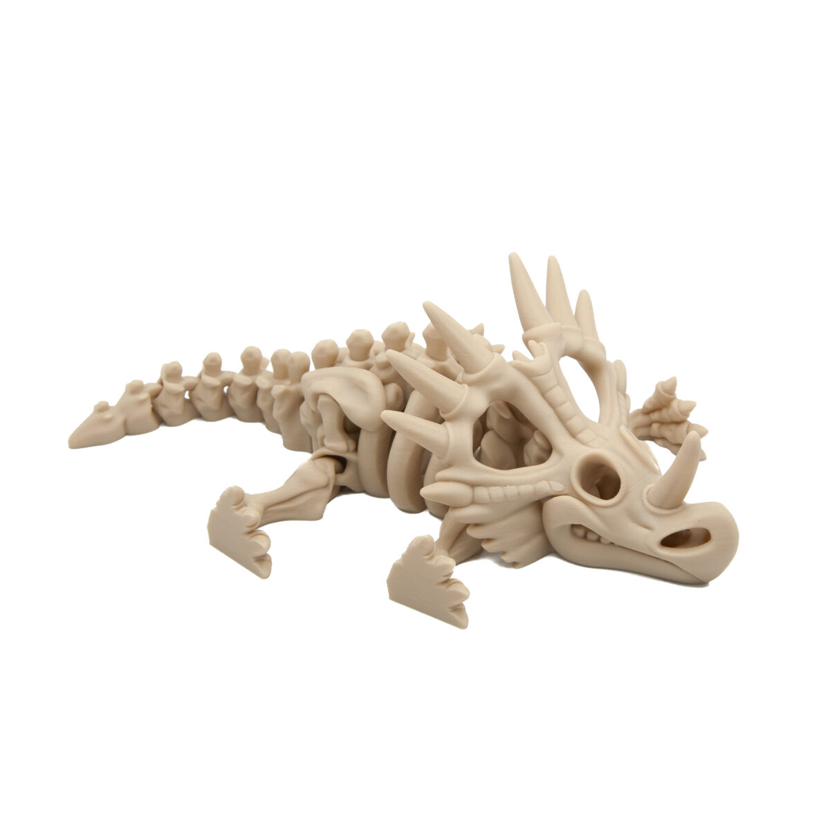 Styrakozaur Szkielet Dinozaur