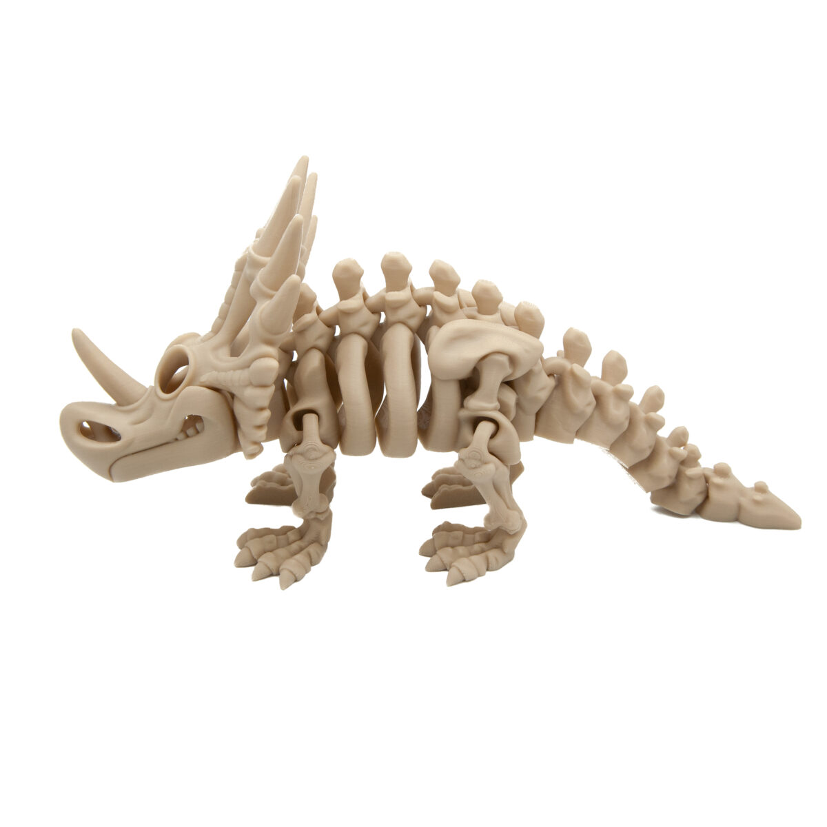 Styrakozaur Szkielet Dinozaur