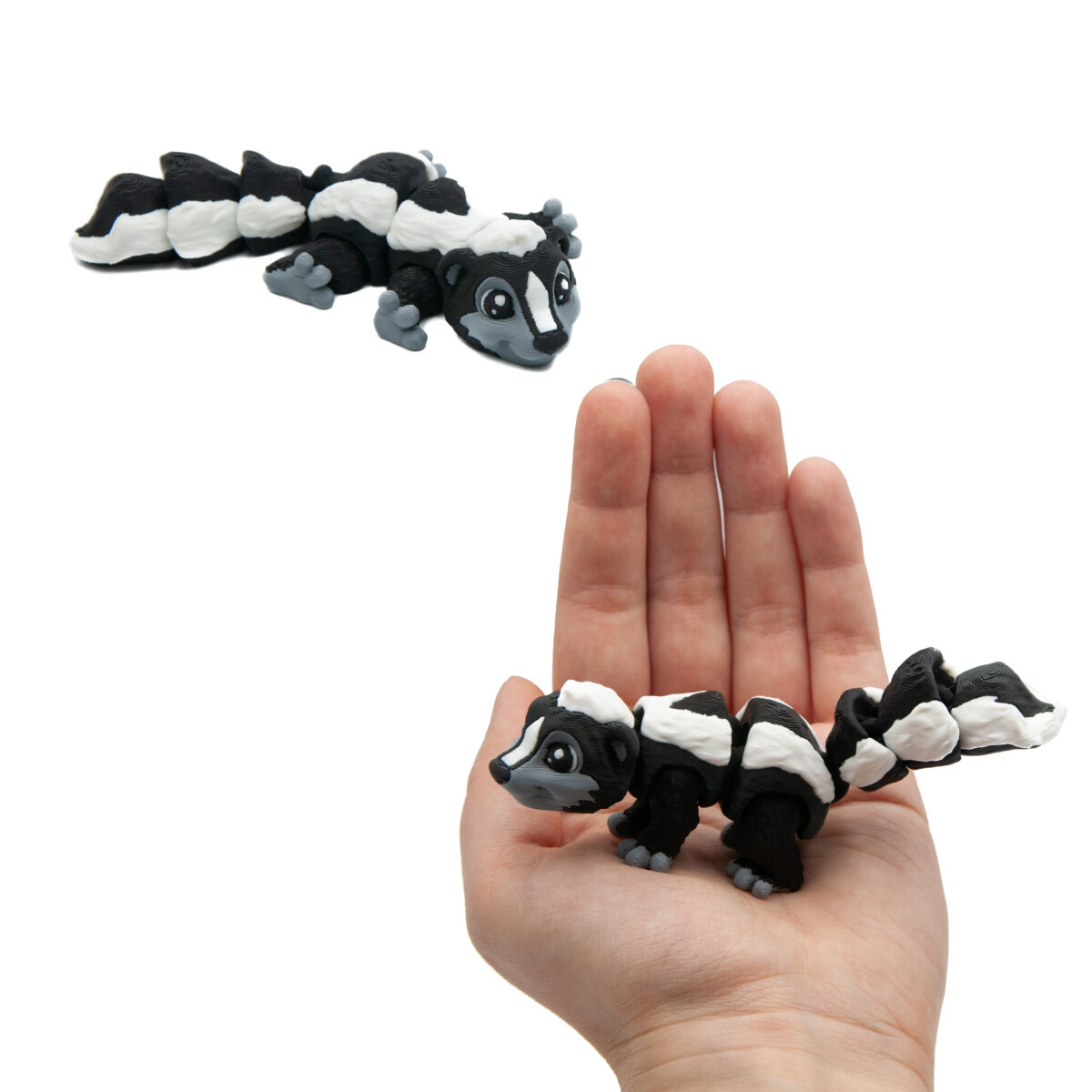 babyskunks3 Baby Skunks