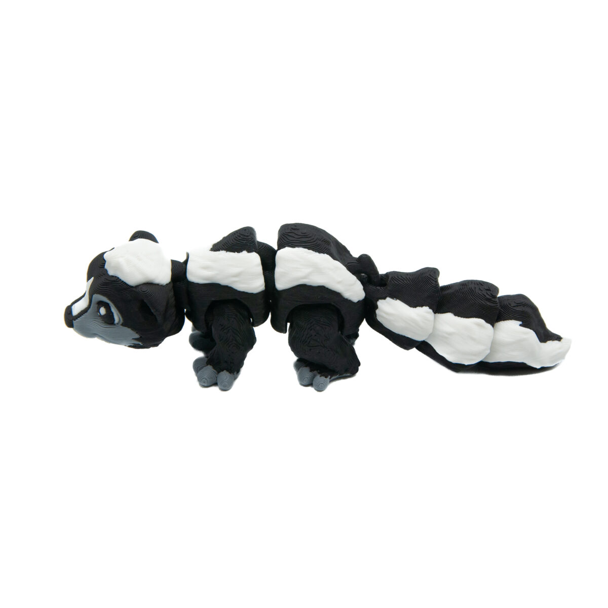 babyskunks5 Baby Skunks